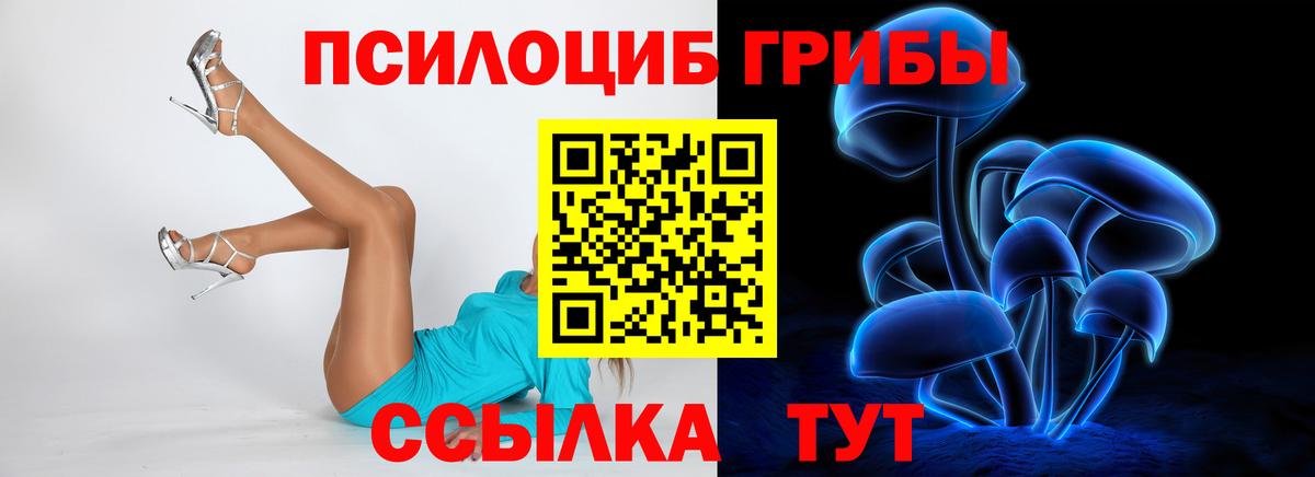 Кулебаки  Псилоцибиновые грибы ЛСД  Галлюциногенные грибы Psilocybe  Вход с VPN 